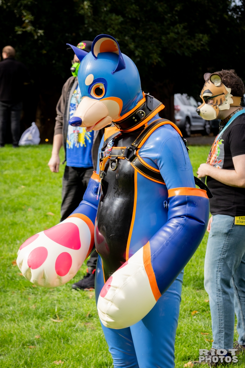 2025-10-06 Pawsome-202510-137.jpg