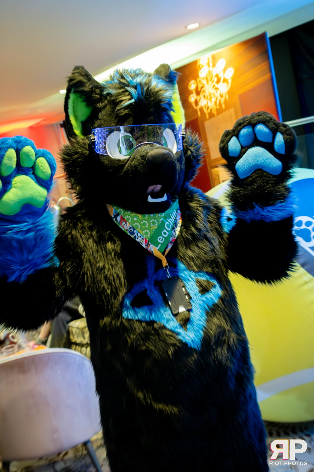 Pawsome 2025 — 19 Oct 2025, Fluffy Riot photography — photo 139