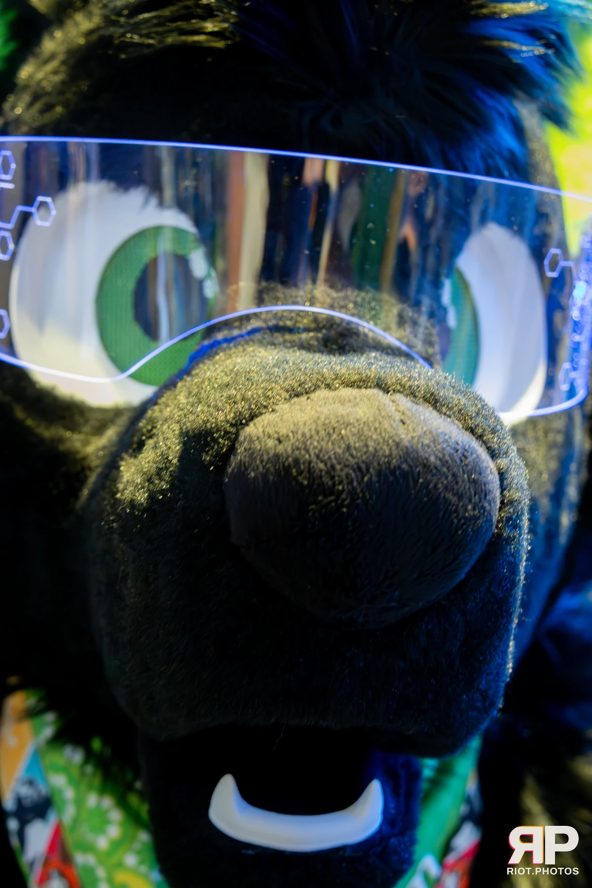 Pawsome 2025 — 19 Oct 2025, Fluffy Riot photography — photo 140