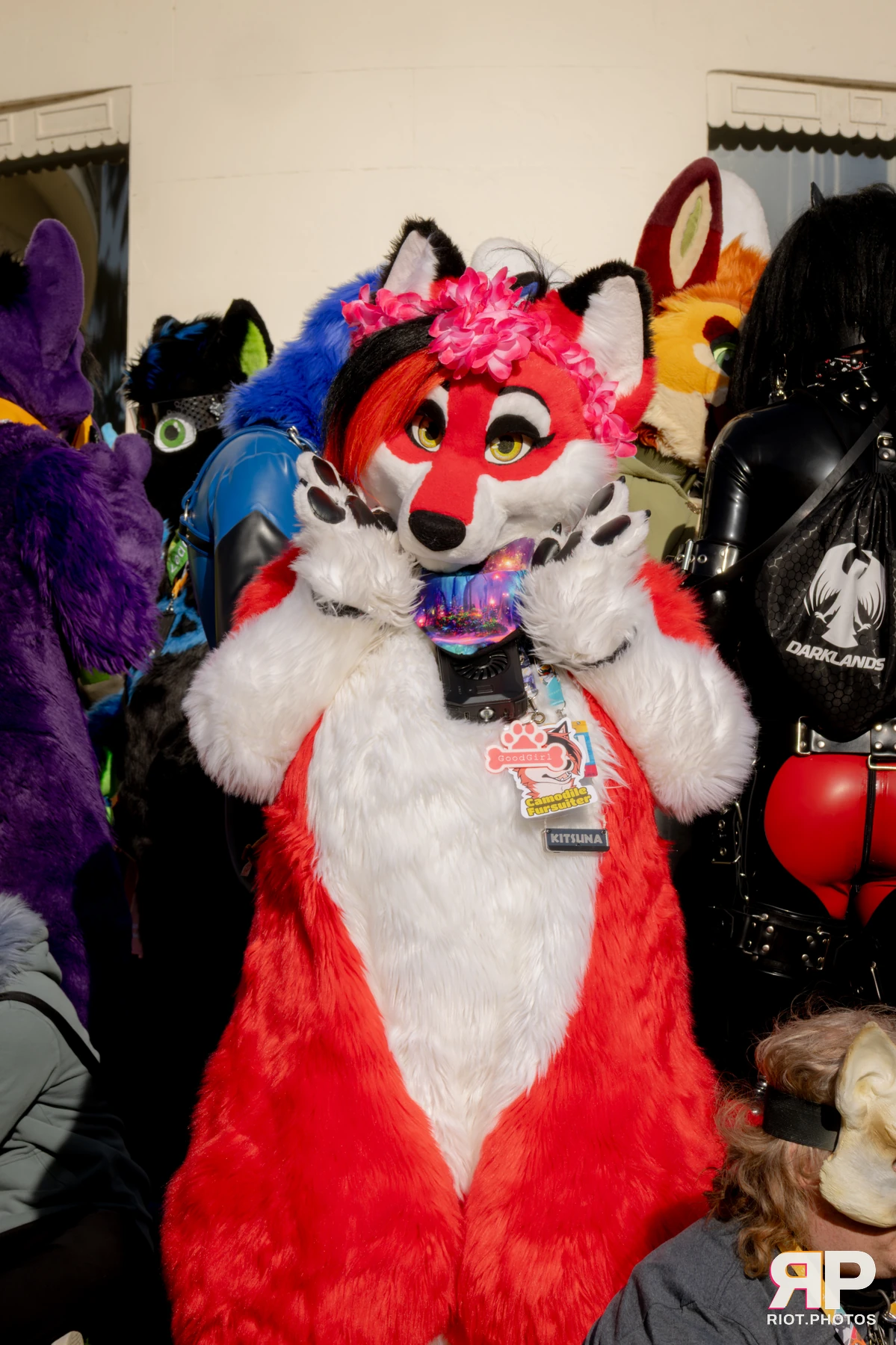 Pawsome 2025 — 19 Oct 2025, Fluffy Riot photography — photo 145