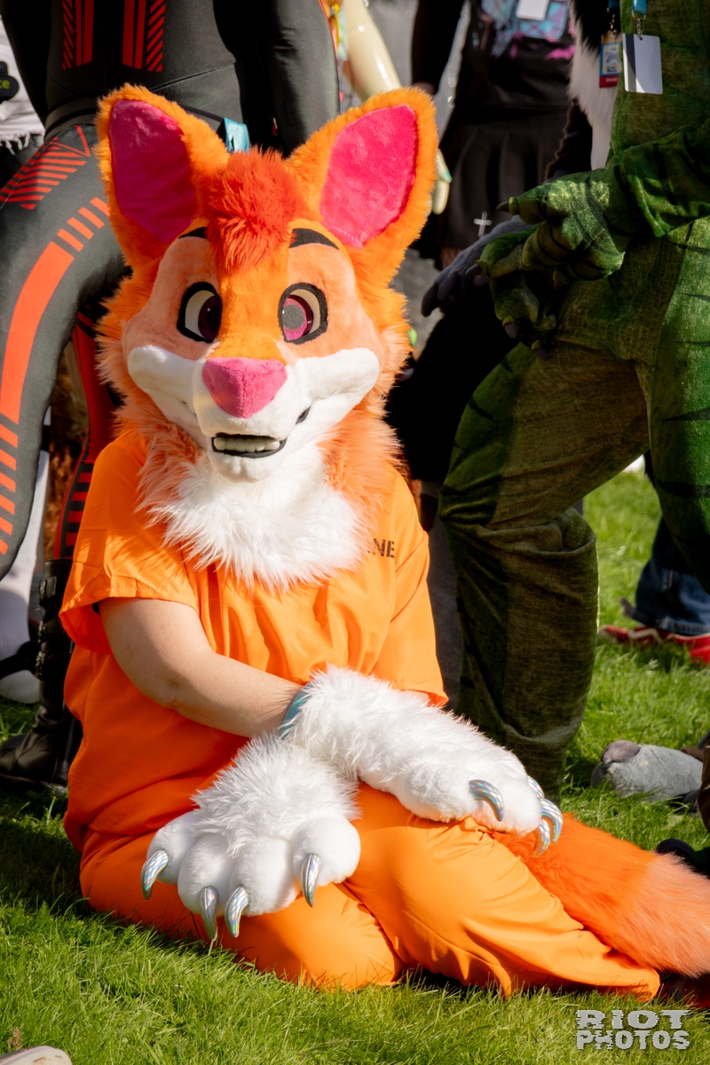 2025-10-06 Pawsome-202510-146.jpg