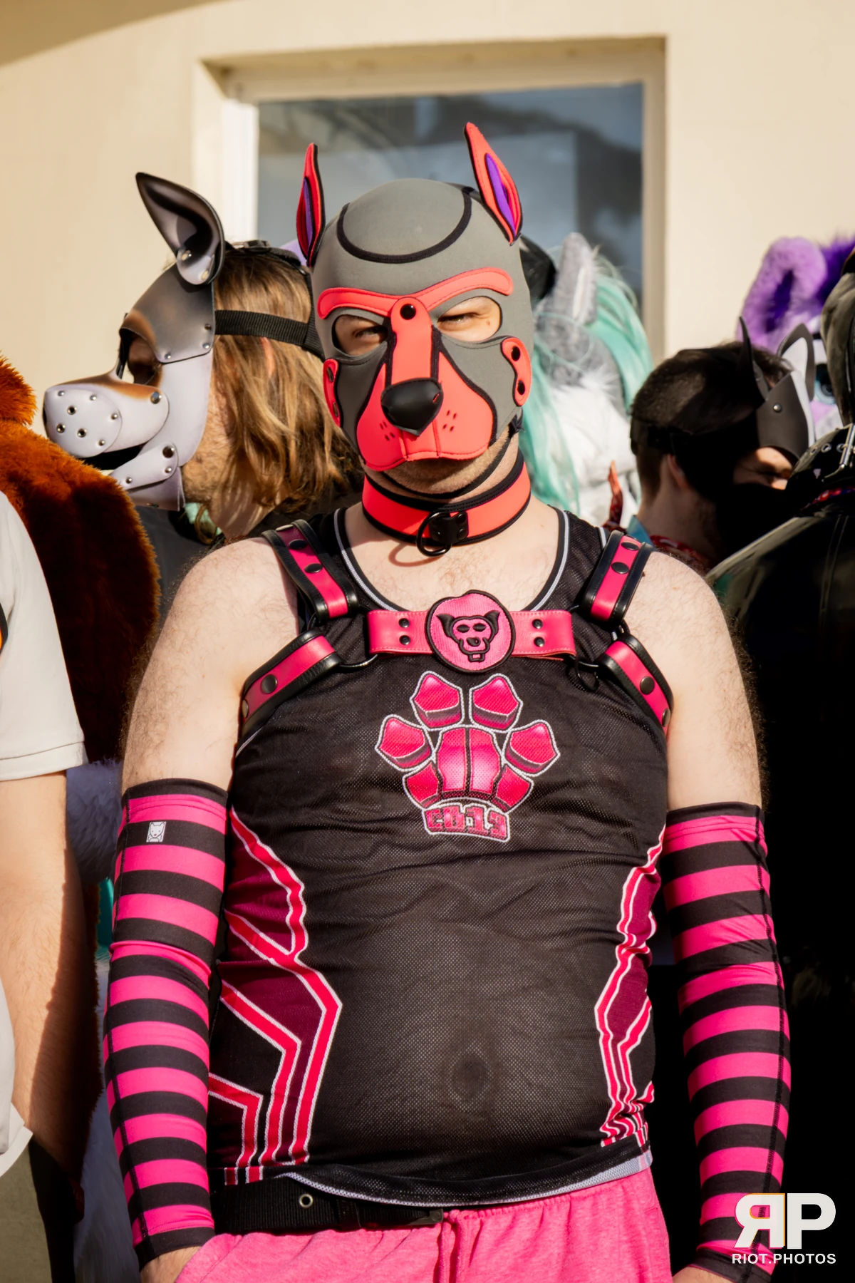 Pawsome 2025 — 19 Oct 2025, Fluffy Riot photography — photo 152