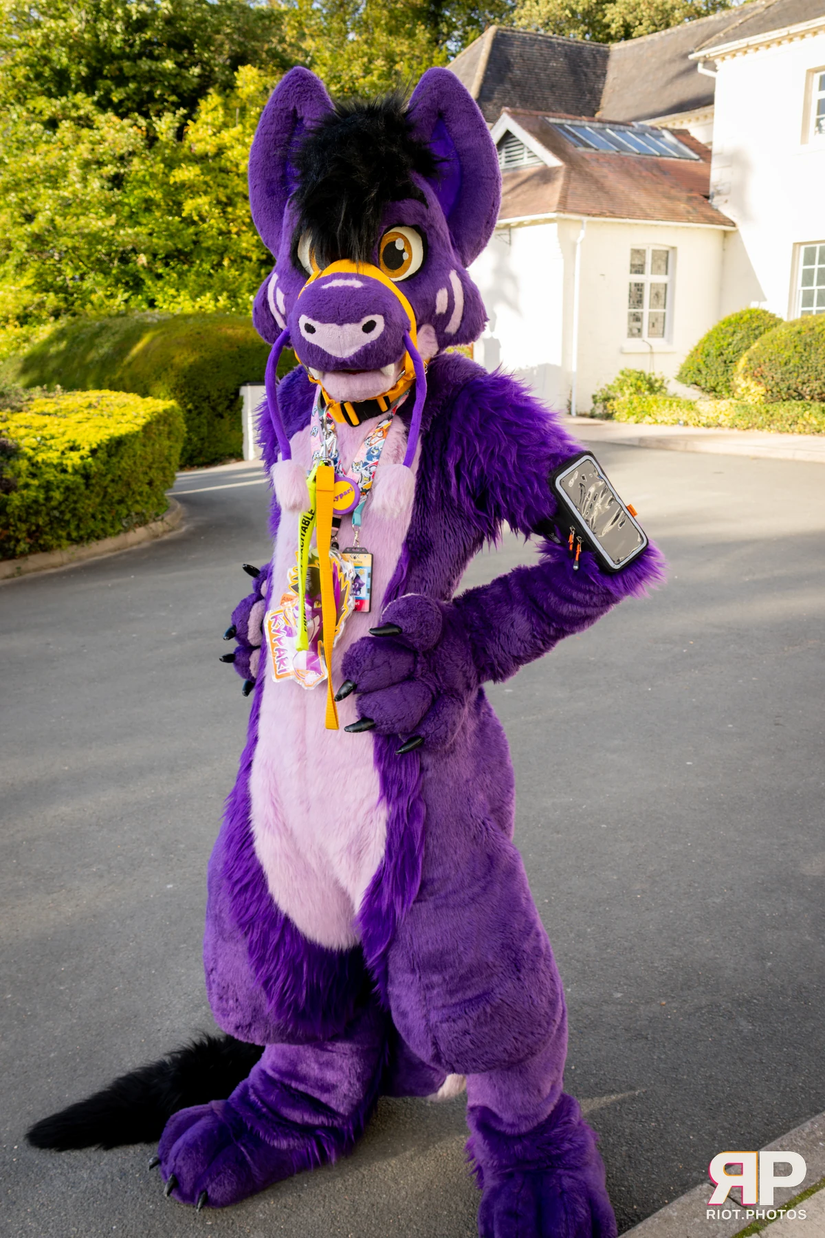 Pawsome 2025 — 19 Oct 2025, Fluffy Riot photography — photo 154