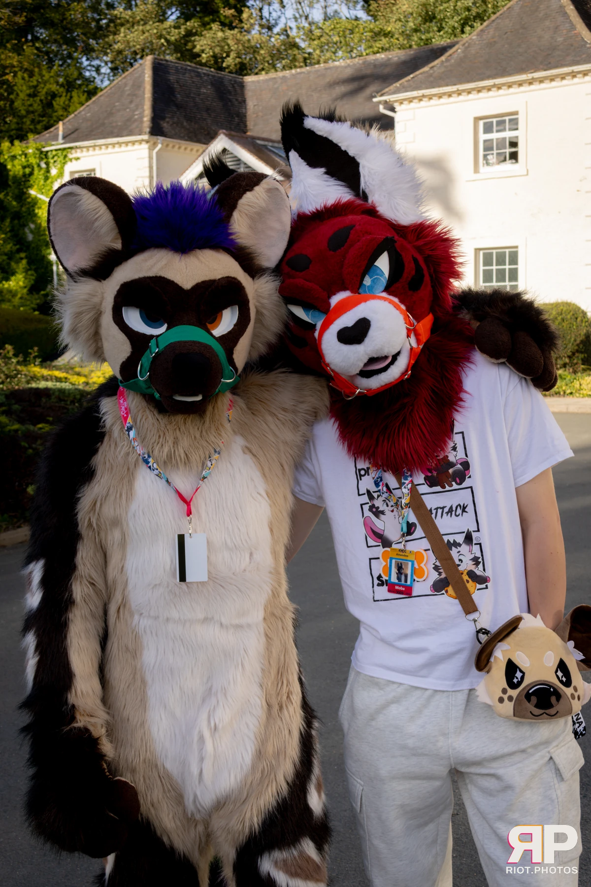Pawsome 2025 — 19 Oct 2025, Fluffy Riot photography — photo 159