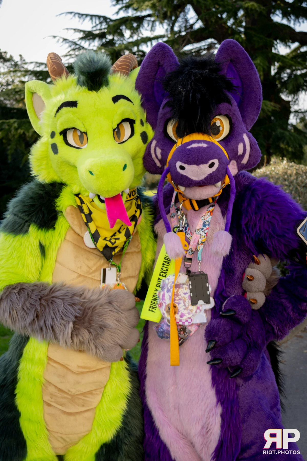Pawsome 2025 — 19 Oct 2025, Fluffy Riot photography — photo 161