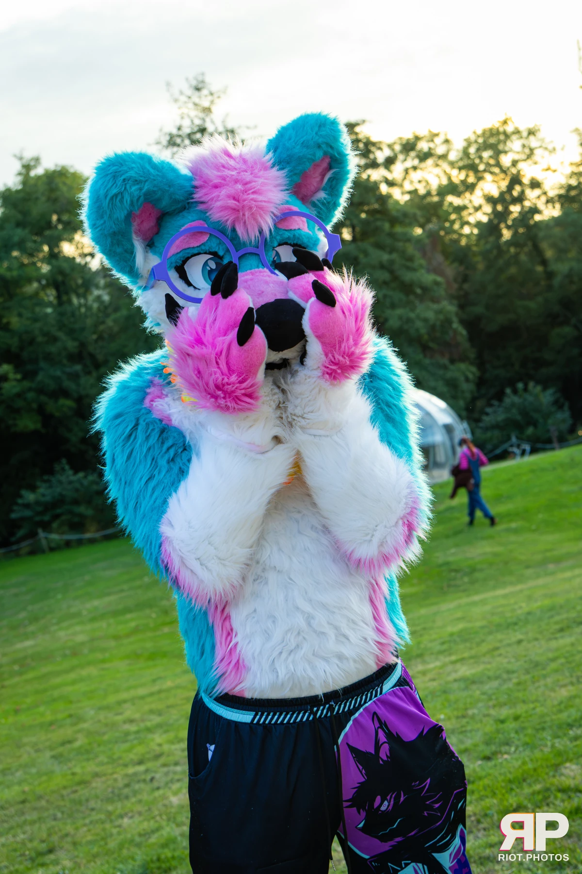 Pawsome 2026 - 05 Oct 2026, Fluffy Riot photography - photo 3
