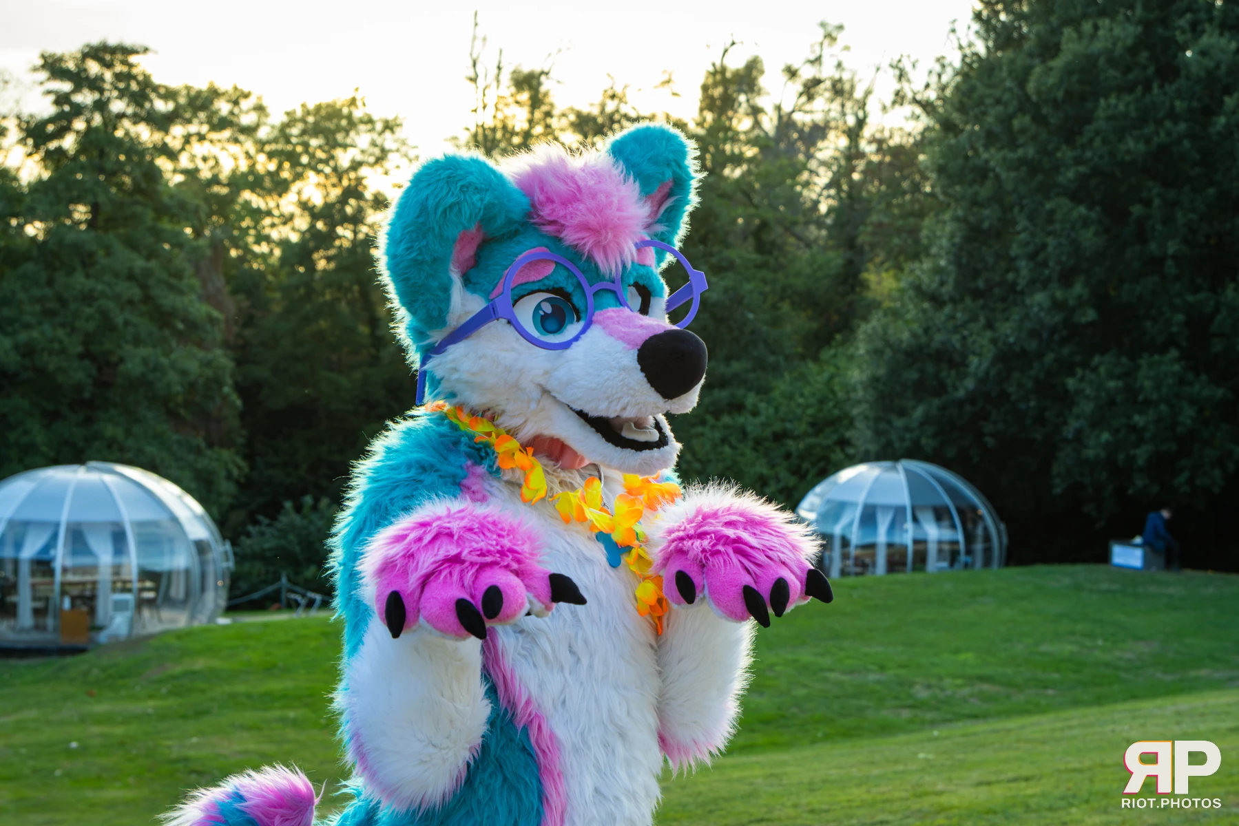 Pawsome 2026 - 05 Oct 2026, Fluffy Riot photography - photo 4