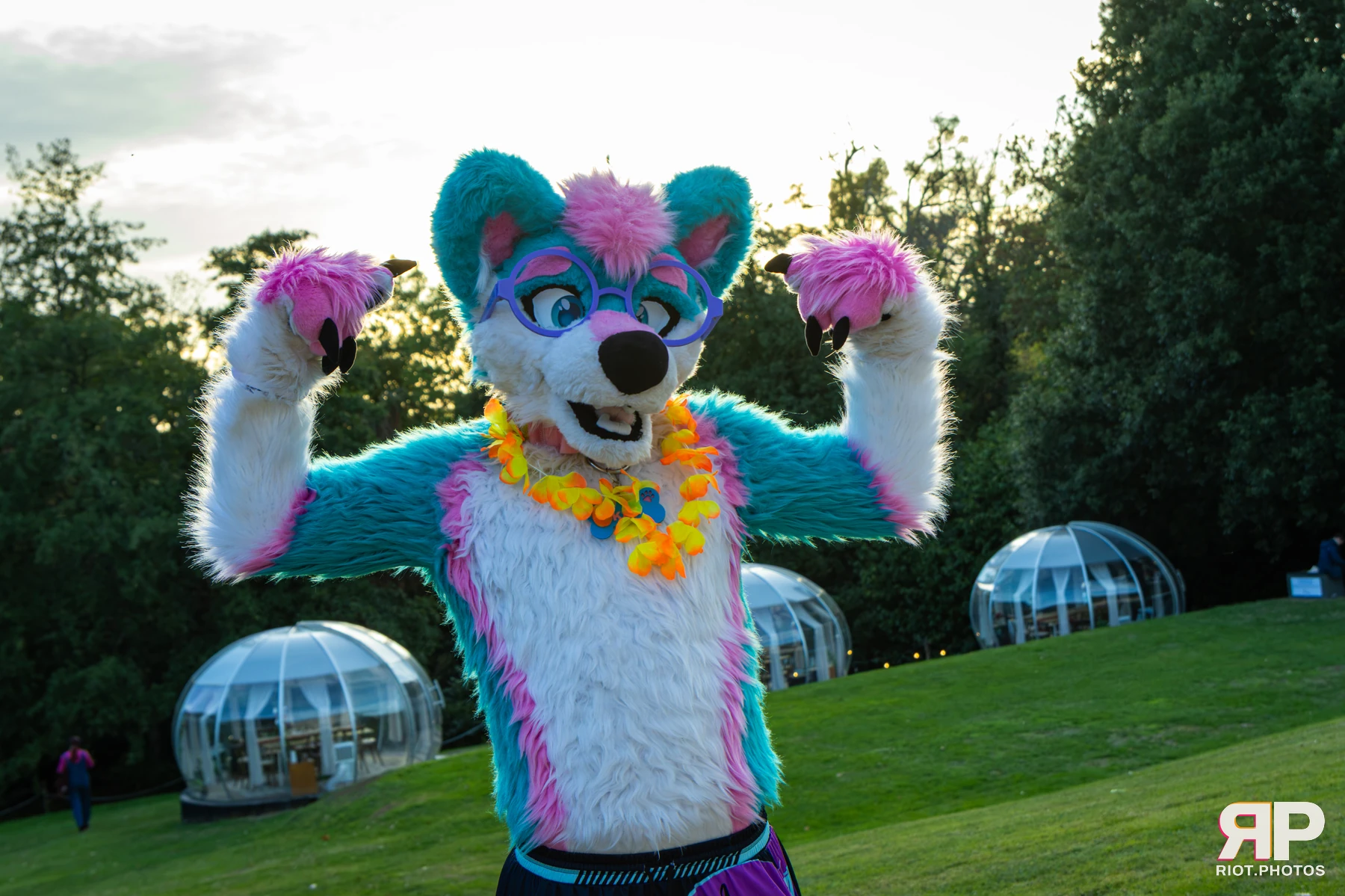 Pawsome 2026 - 05 Oct 2026, Fluffy Riot photography - photo 5