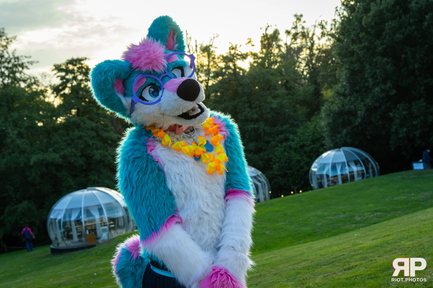 Pawsome 2026 - 05 Oct 2026, Fluffy Riot photography - photo 6