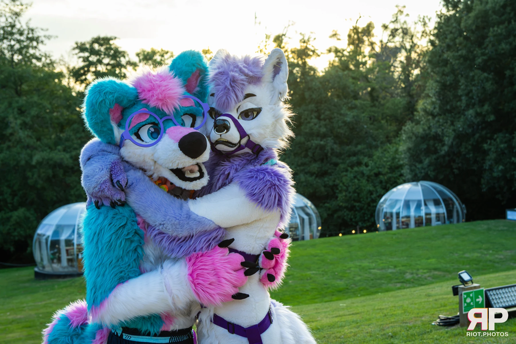 Pawsome 2026 - 05 Oct 2026, Fluffy Riot photography - photo 7