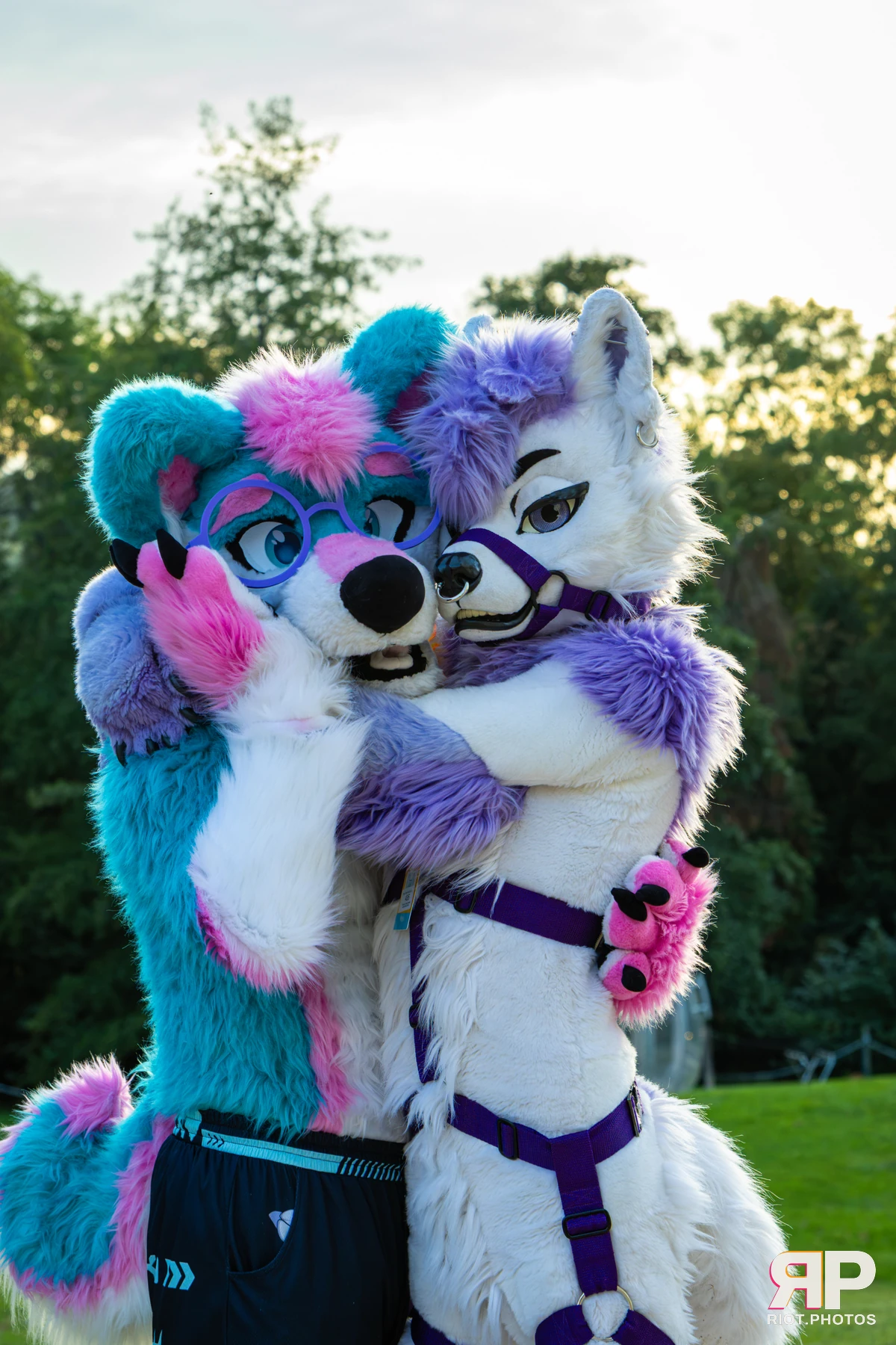 Pawsome 2026 - 05 Oct 2026, Fluffy Riot photography - photo 8