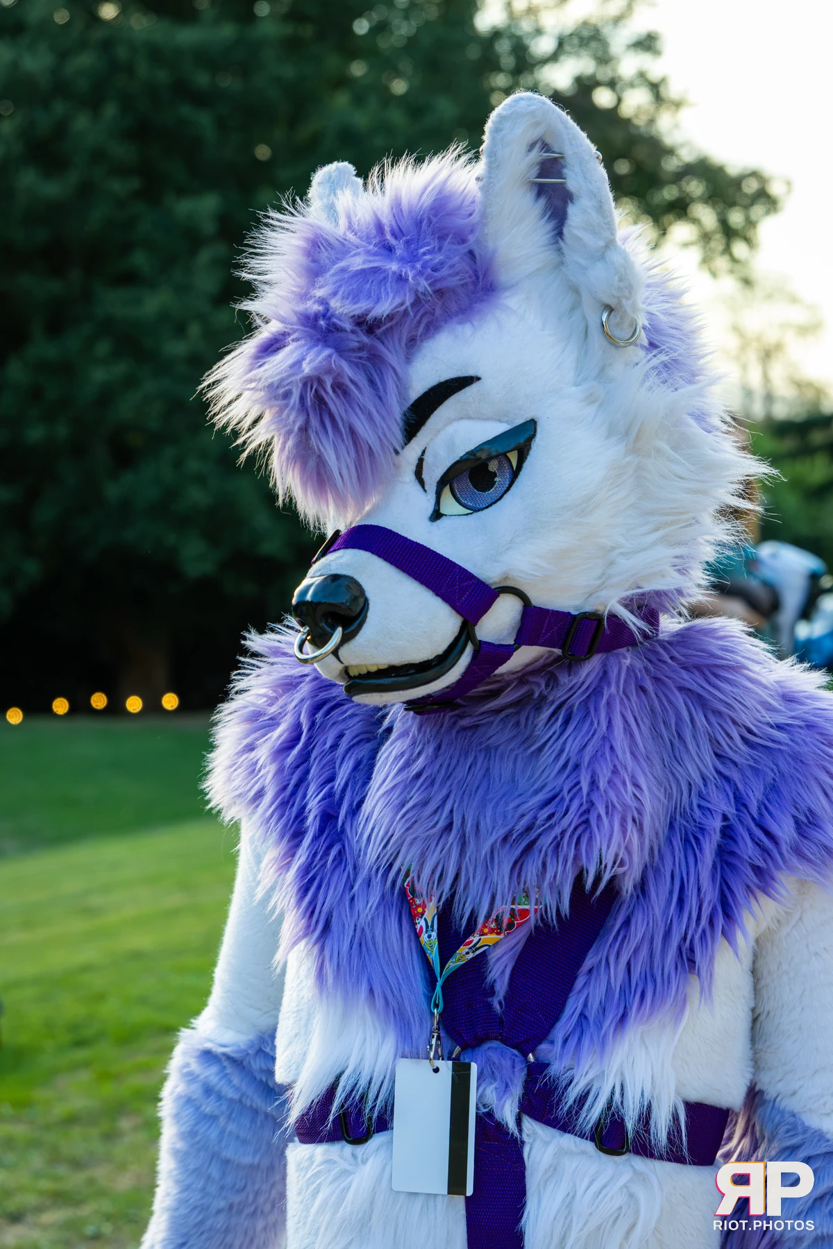 Pawsome 2026 - 05 Oct 2026, Fluffy Riot photography - photo 9