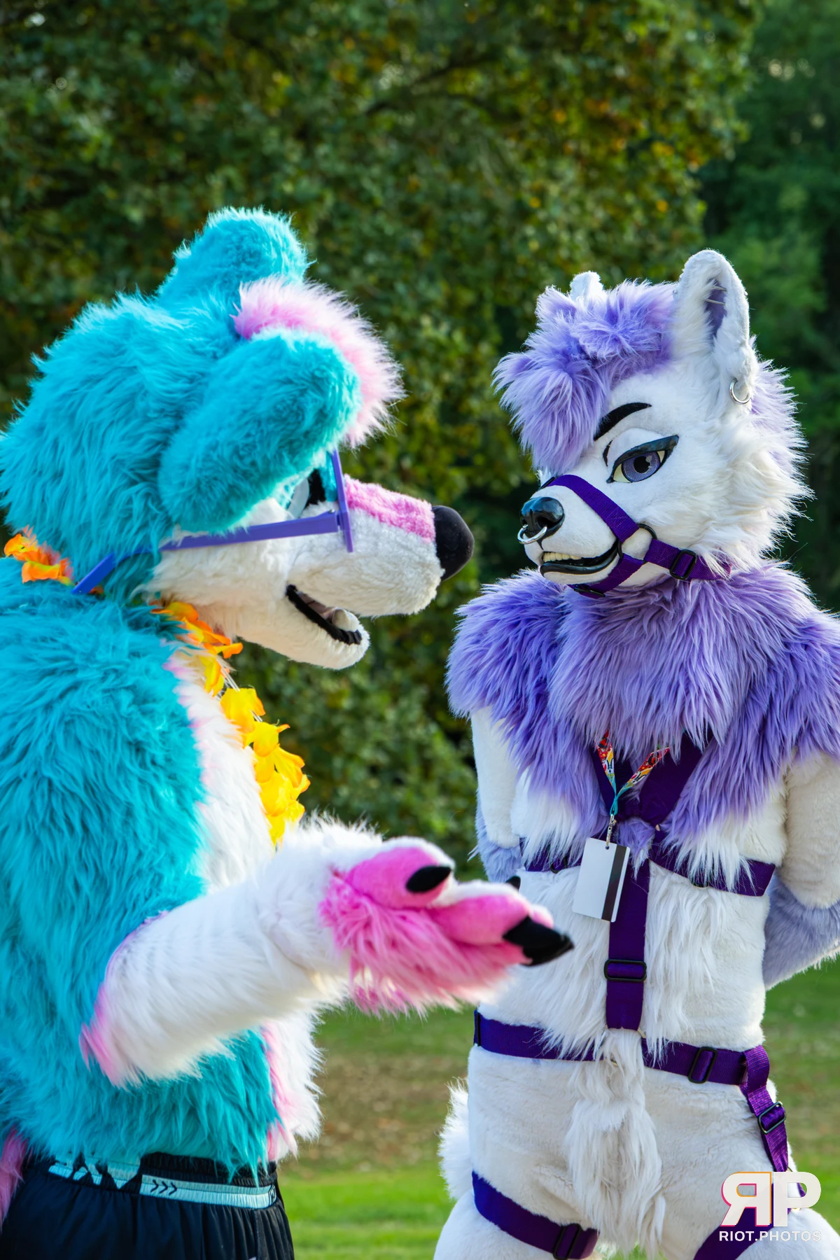 Pawsome 2026 - 05 Oct 2026, Fluffy Riot photography - photo 12