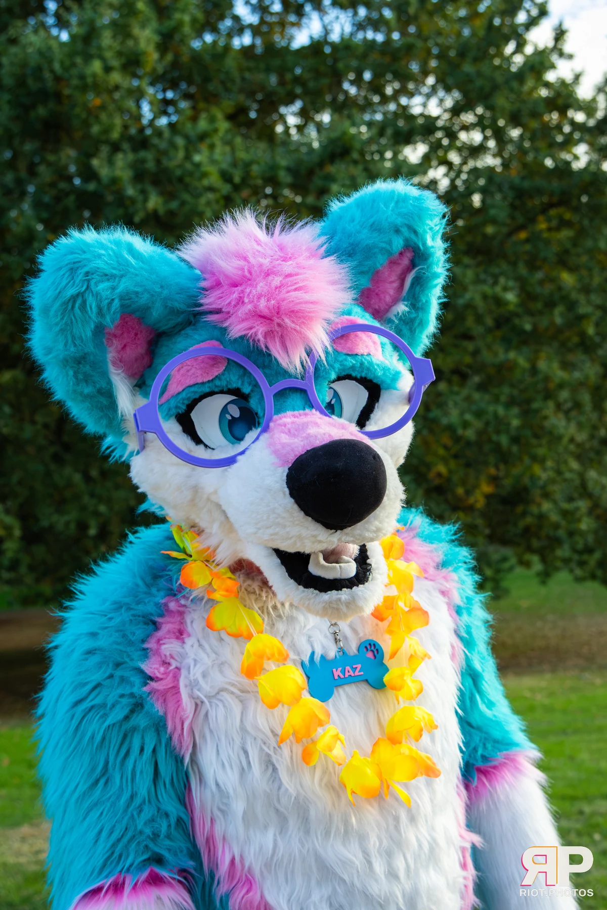 Pawsome 2026 - 05 Oct 2026, Fluffy Riot photography - photo 13