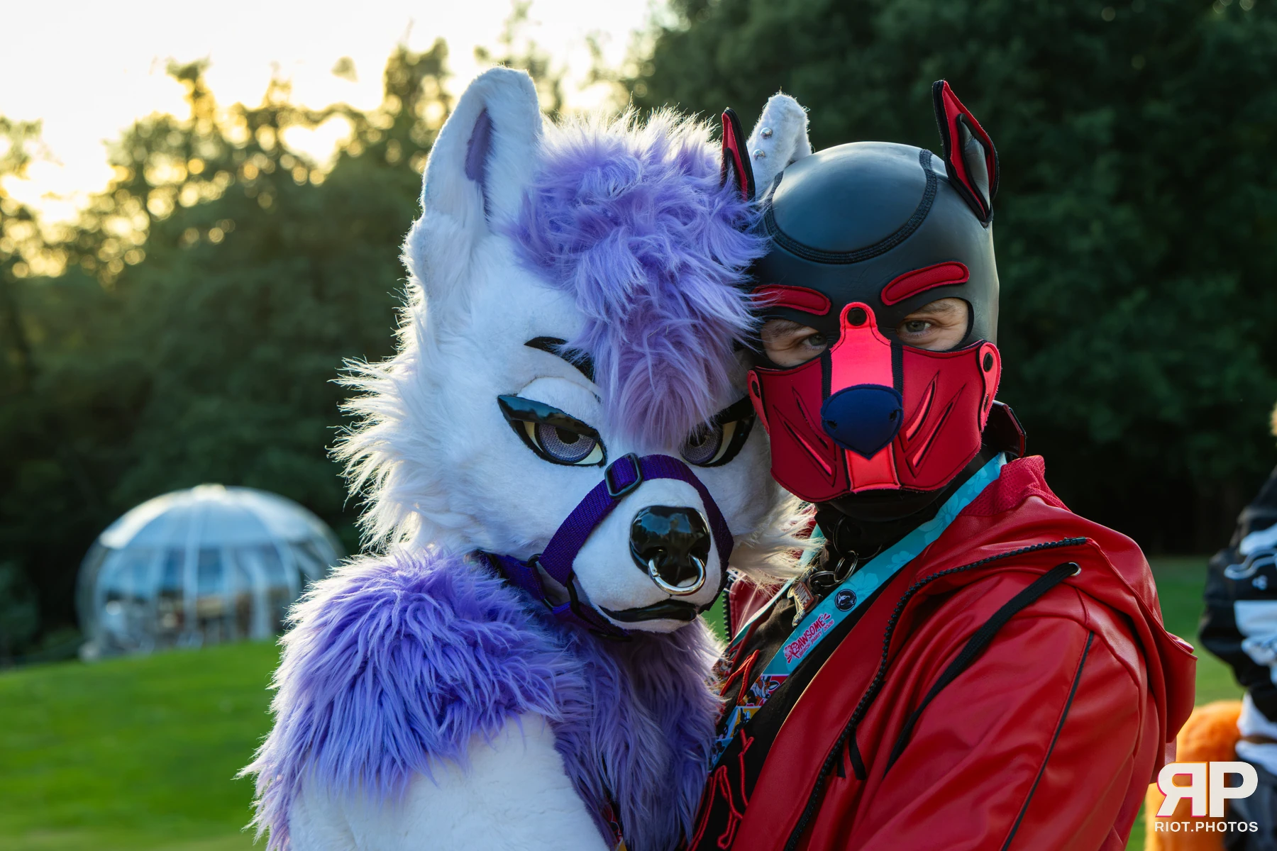 Pawsome 2026 - 05 Oct 2026, Fluffy Riot photography - photo 14