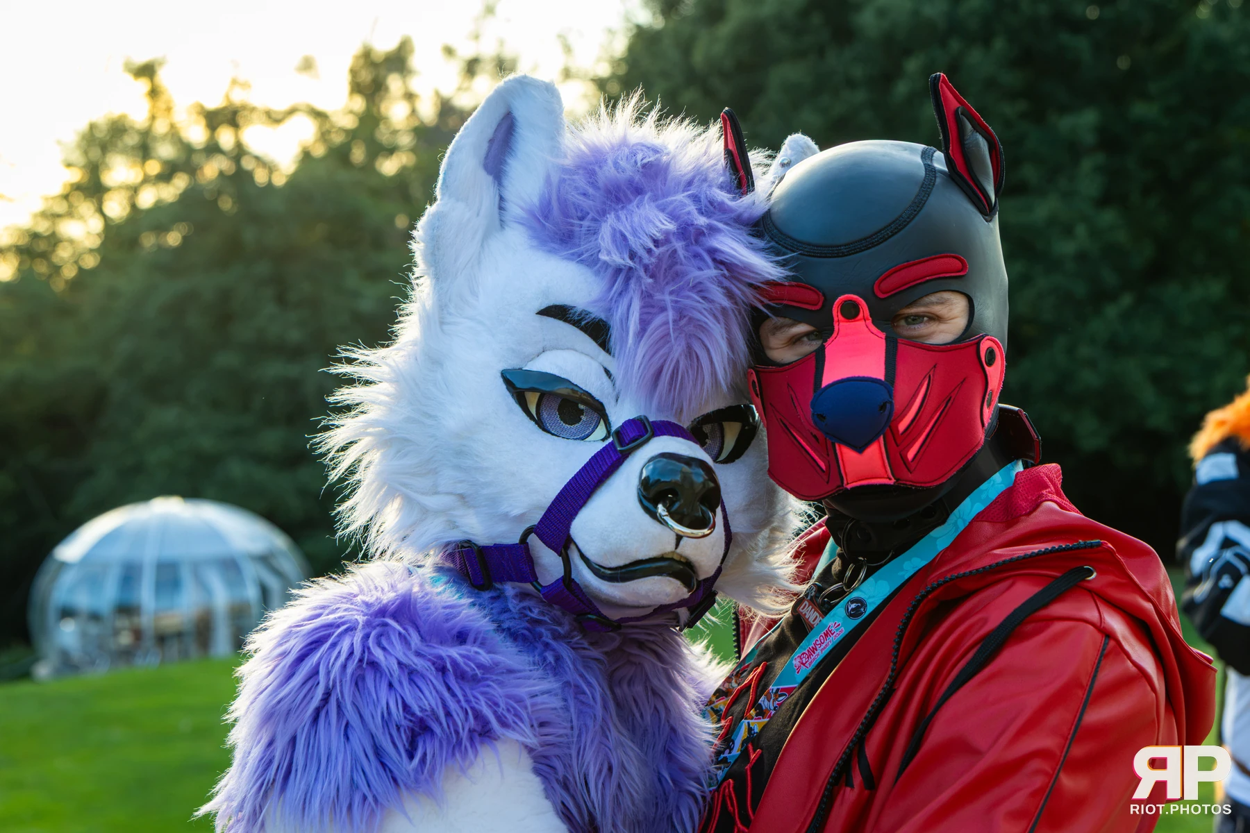 Pawsome 2026 - 05 Oct 2026, Fluffy Riot photography - photo 15