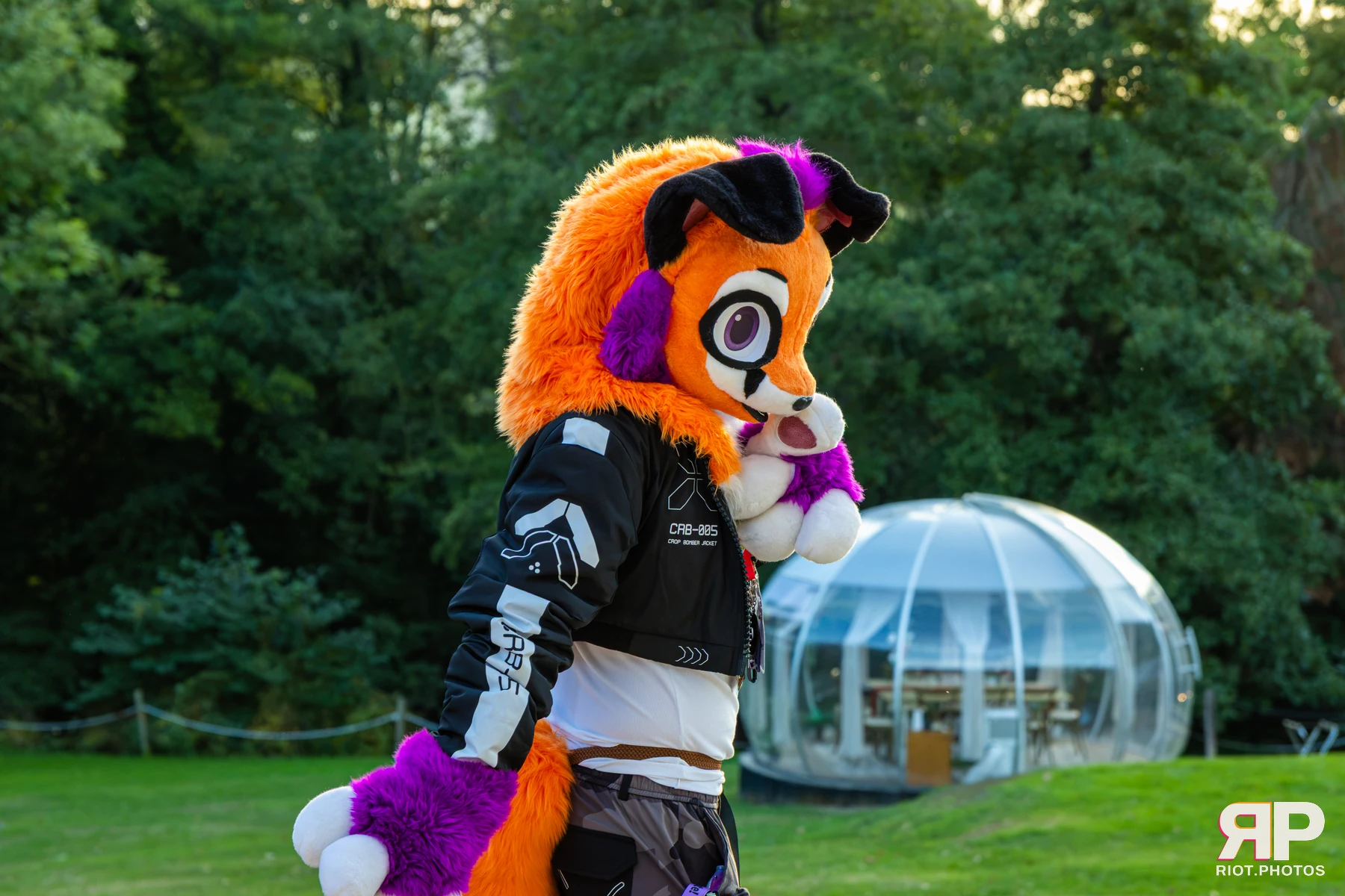 Pawsome 2026 - 05 Oct 2026, Fluffy Riot photography - photo 16