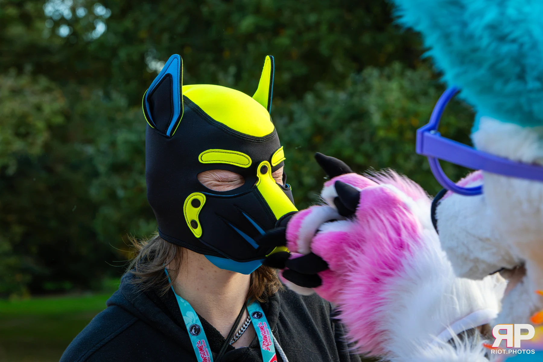 Pawsome 2026 - 05 Oct 2026, Fluffy Riot photography - photo 19