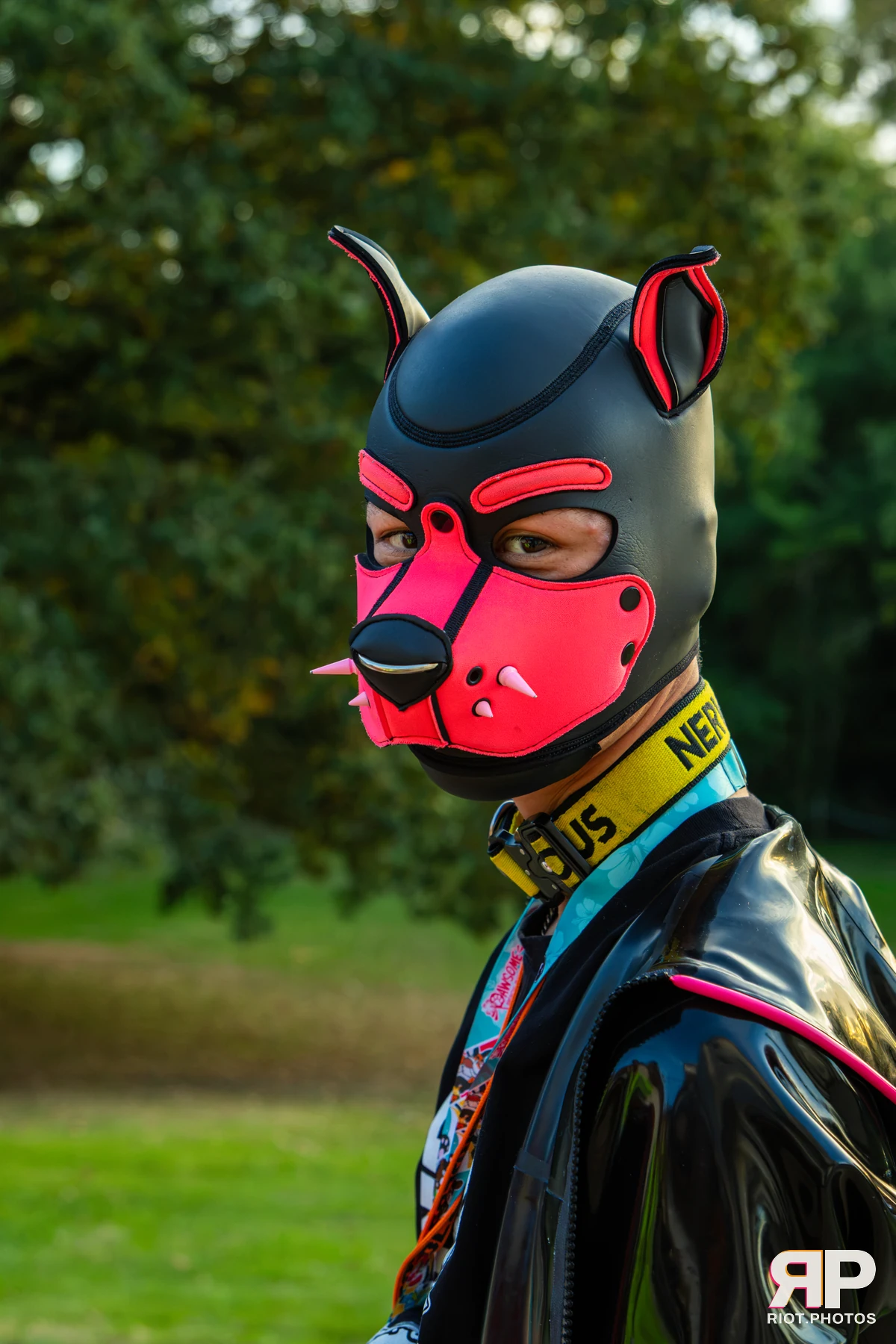 Pawsome 2026 - 05 Oct 2026, Fluffy Riot photography - photo 22