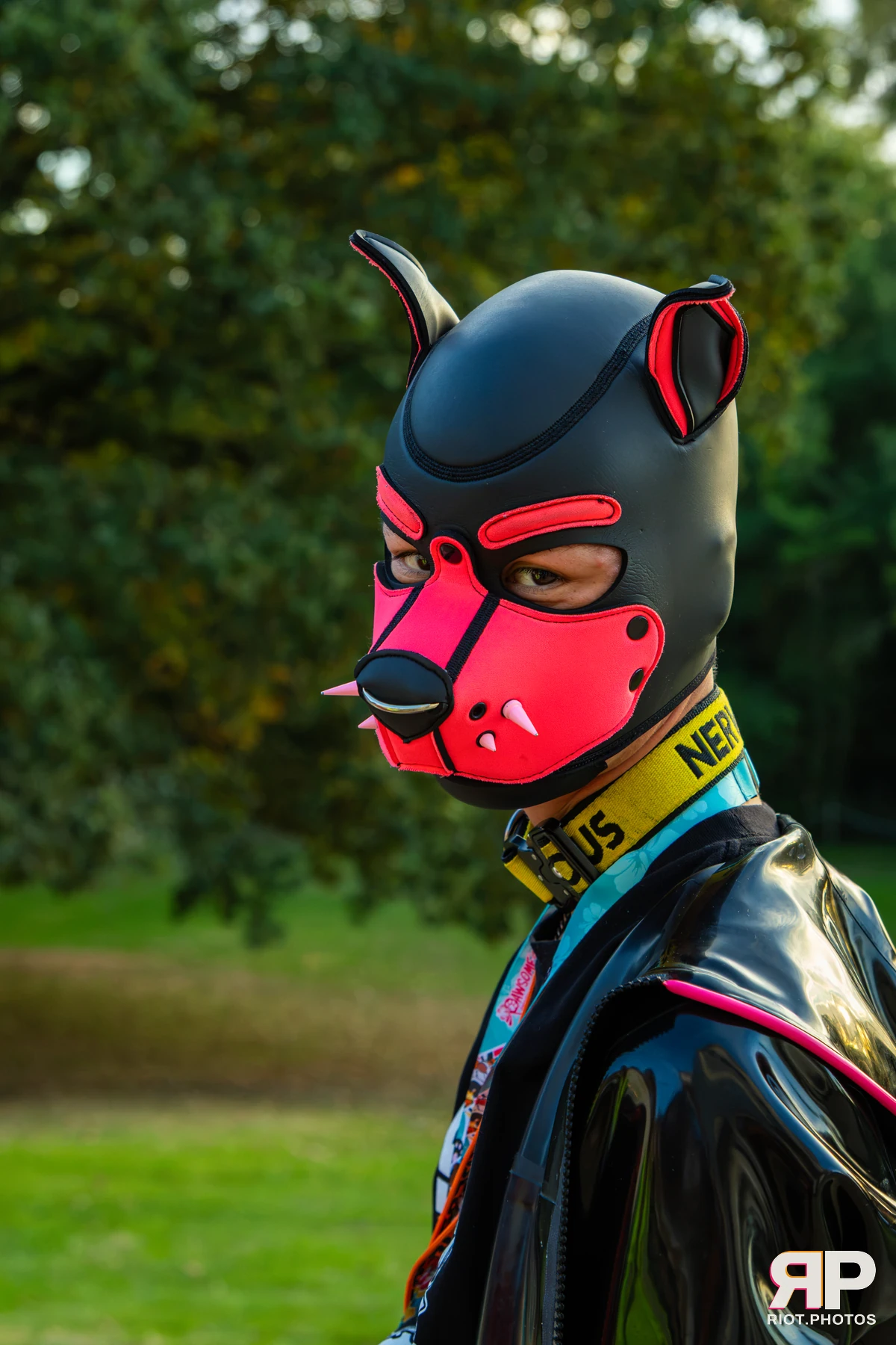 Pawsome 2026 - 05 Oct 2026, Fluffy Riot photography - photo 23