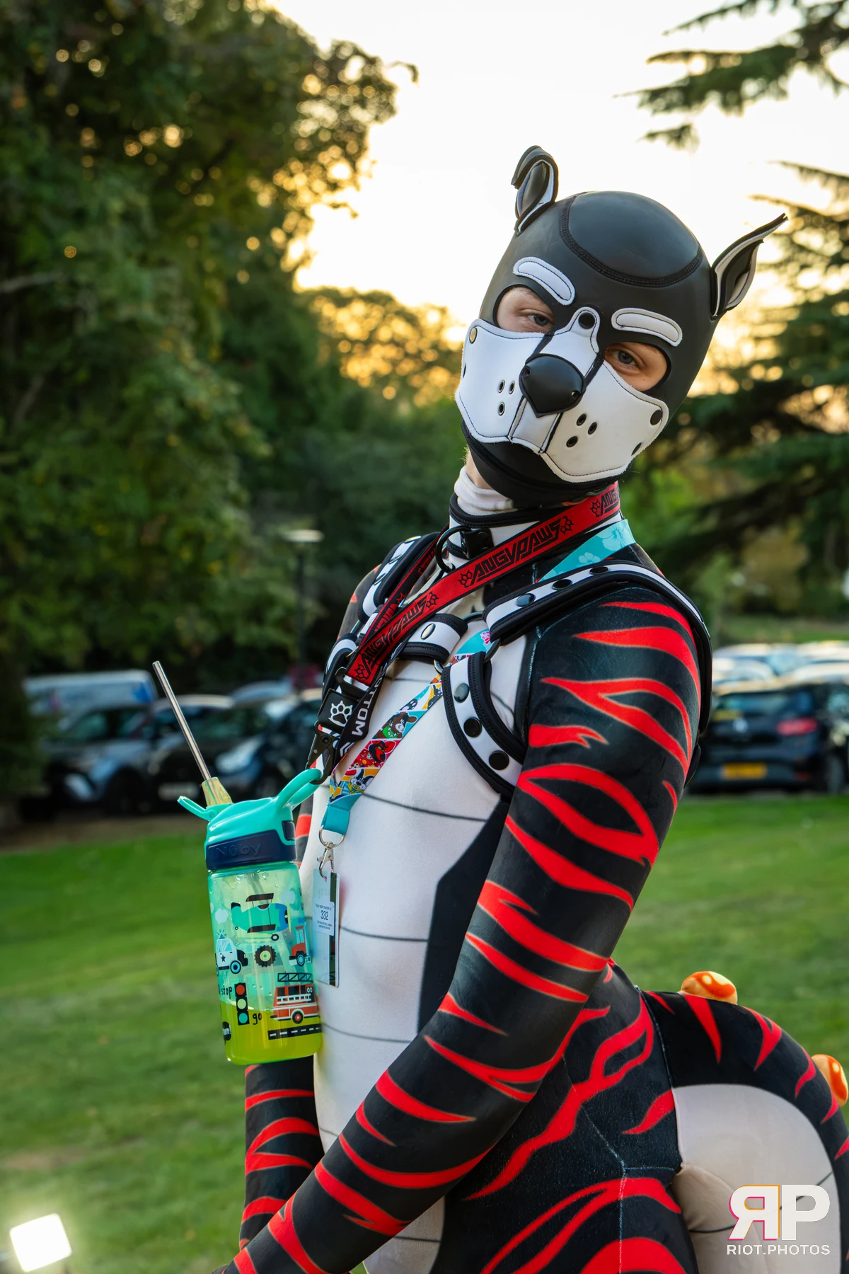 Pawsome 2026 - 05 Oct 2026, Fluffy Riot photography - photo 27