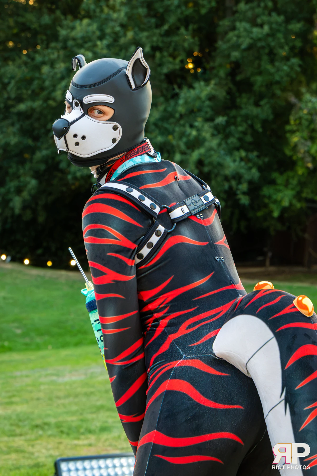 Pawsome 2026 - 05 Oct 2026, Fluffy Riot photography - photo 28