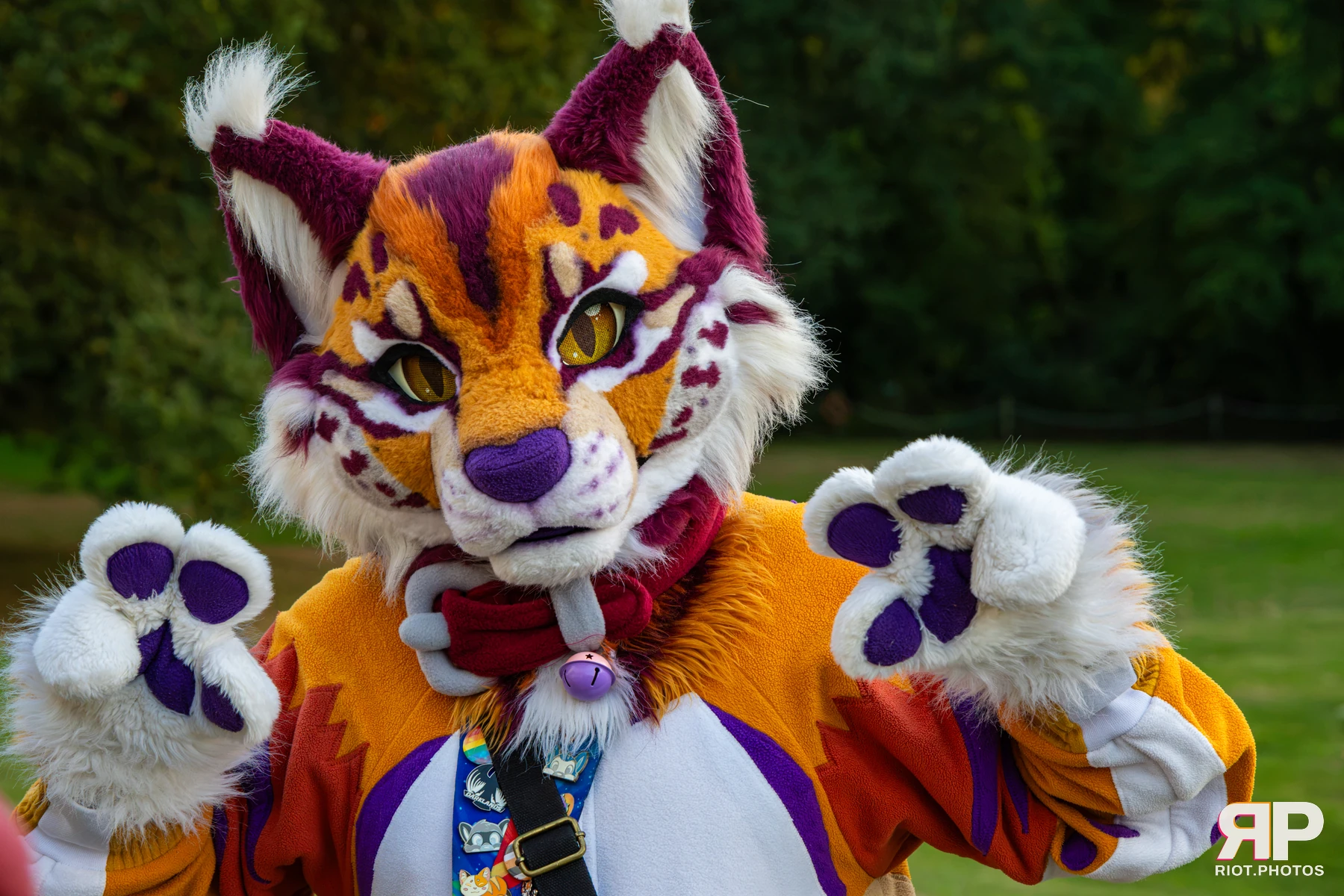 Pawsome 2026 - 05 Oct 2026, Fluffy Riot photography - photo 29
