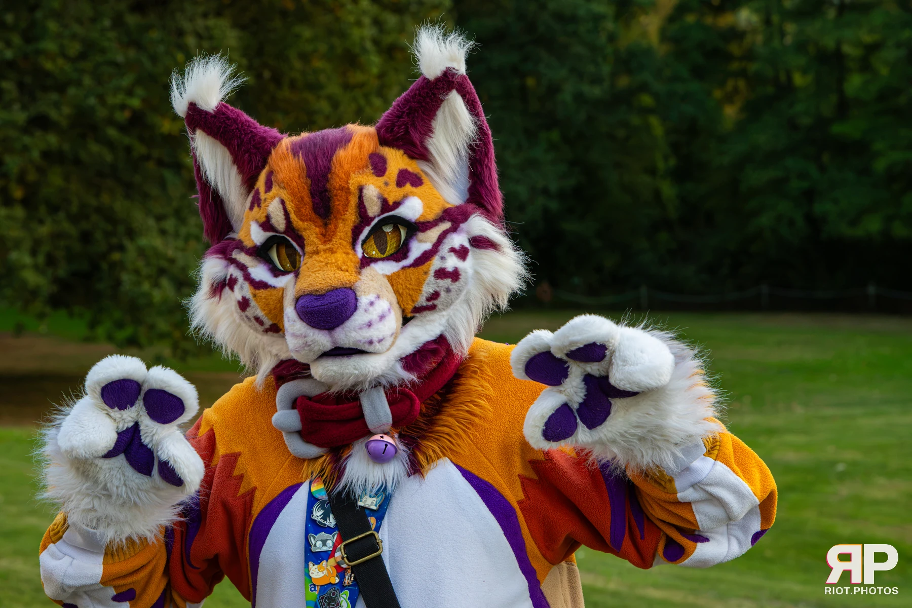 Pawsome 2026 - 05 Oct 2026, Fluffy Riot photography - photo 30
