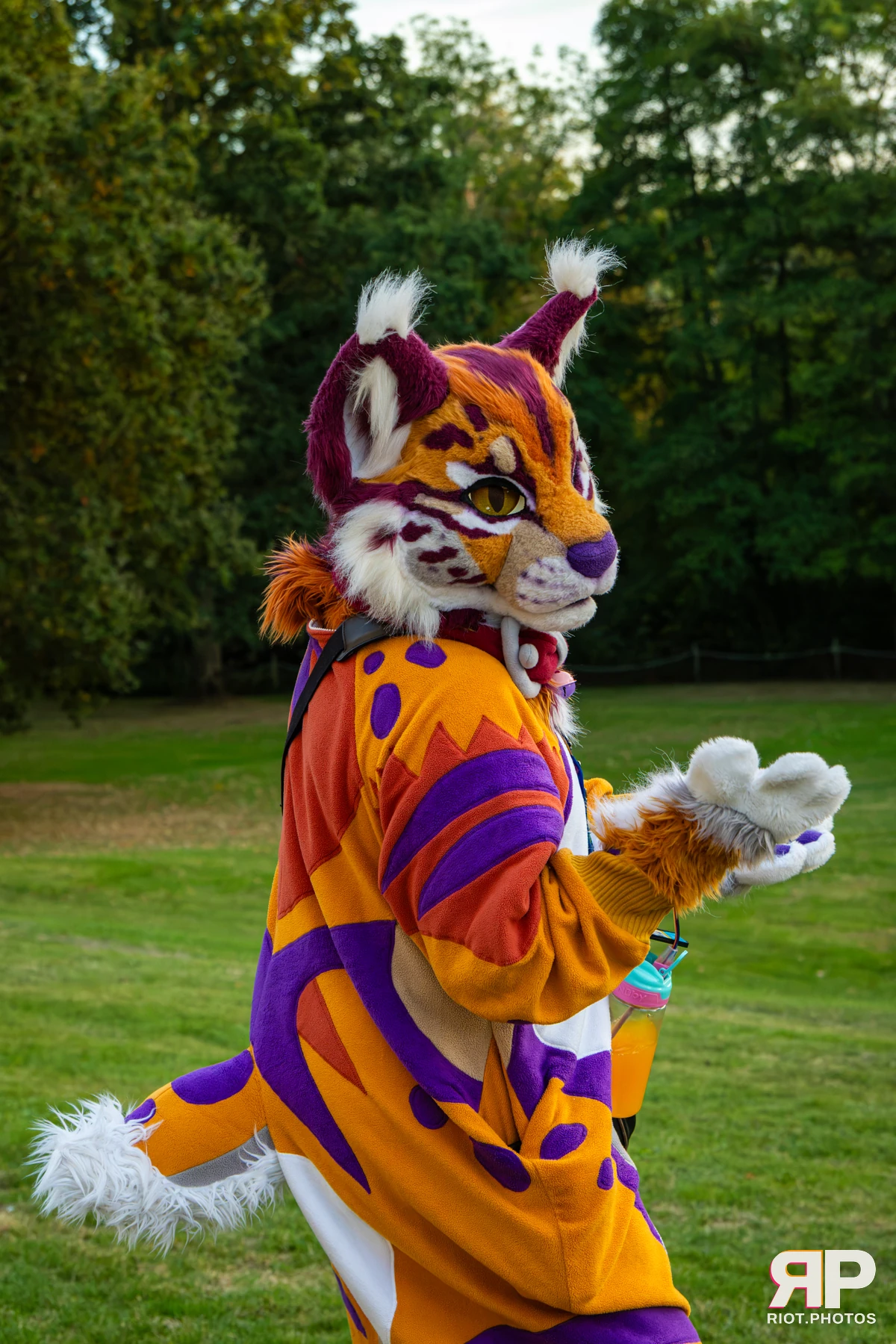 Pawsome 2026 - 05 Oct 2026, Fluffy Riot photography - photo 31