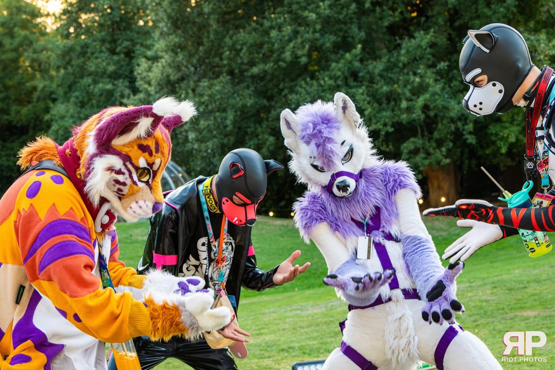 Pawsome 2026 - 05 Oct 2026, Fluffy Riot photography - photo 32