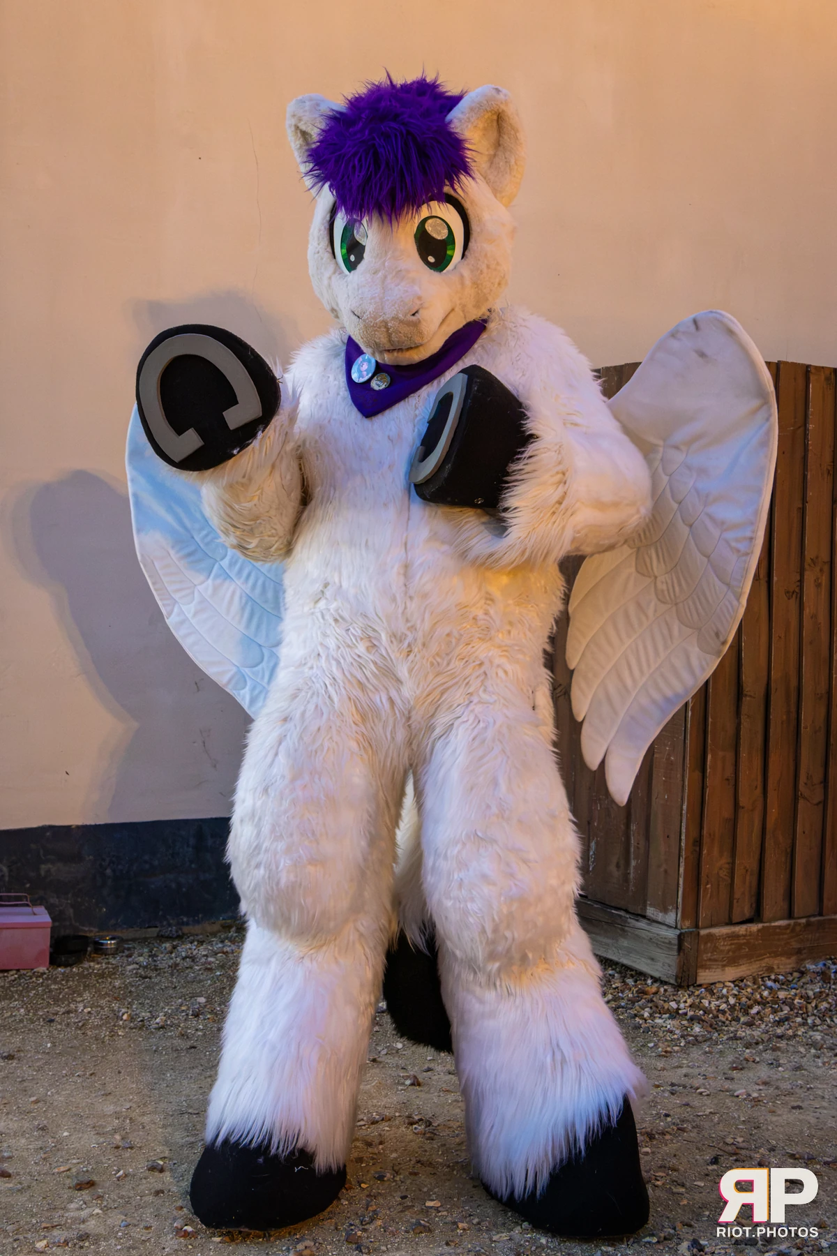 Pawsome 2026 - 05 Oct 2026, Fluffy Riot photography - photo 34