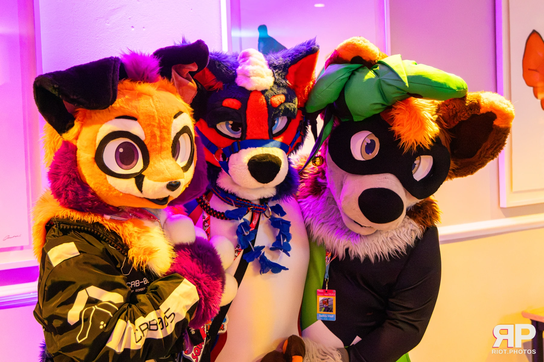 Pawsome 2026 - 05 Oct 2026, Fluffy Riot photography - photo 36