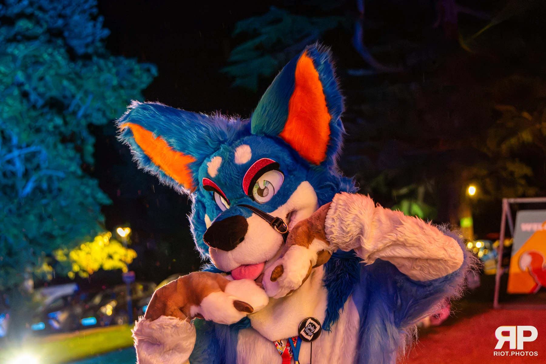 Pawsome 2026 - 05 Oct 2026, Fluffy Riot photography - photo 41
