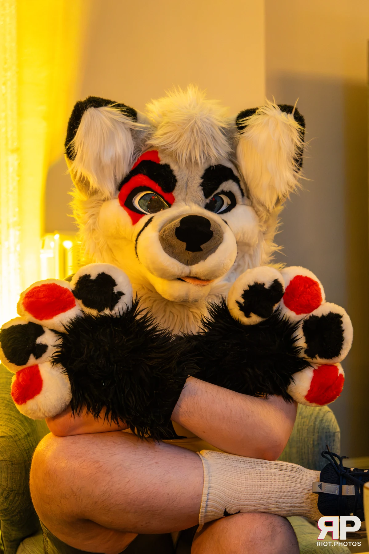 Pawsome 2026 - 05 Oct 2026, Fluffy Riot photography - photo 46