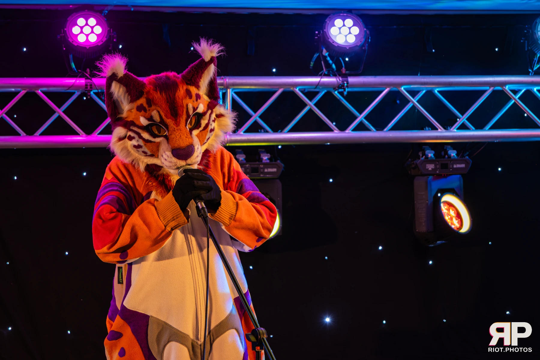 Pawsome 2026 - 05 Oct 2026, Fluffy Riot photography - photo 52