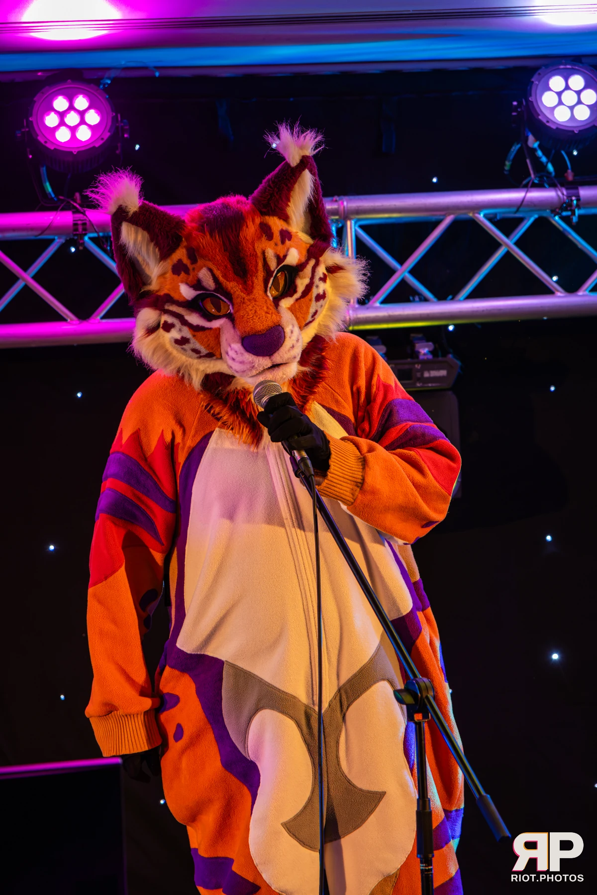 Pawsome 2026 - 05 Oct 2026, Fluffy Riot photography - photo 53