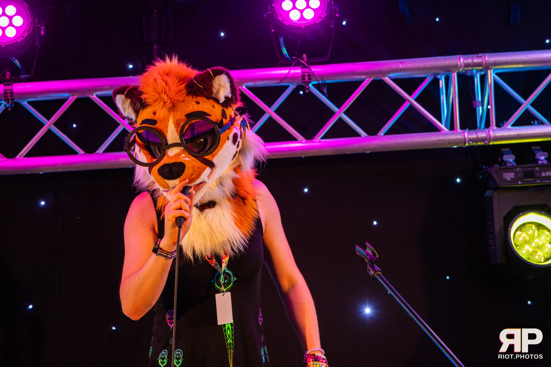 Pawsome 2026 - 05 Oct 2026, Fluffy Riot photography - photo 54