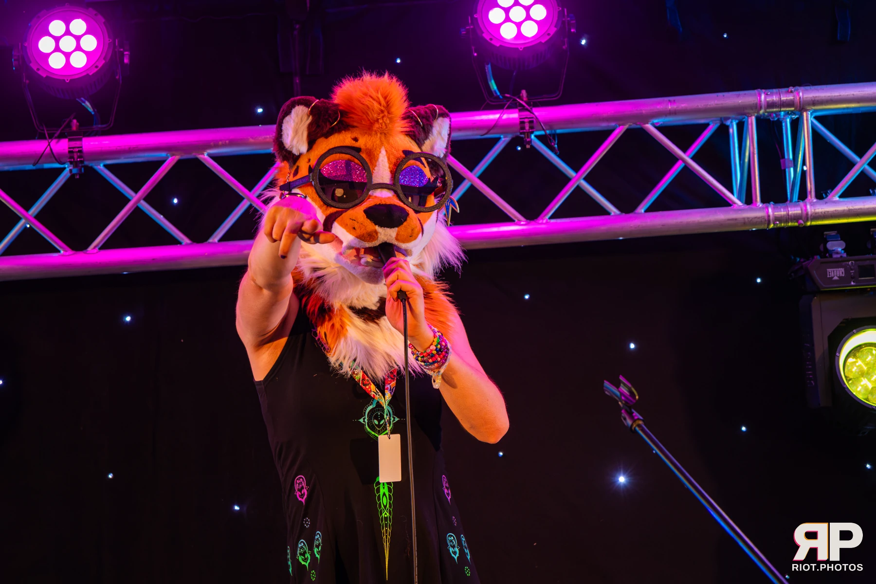Pawsome 2026 - 05 Oct 2026, Fluffy Riot photography - photo 55