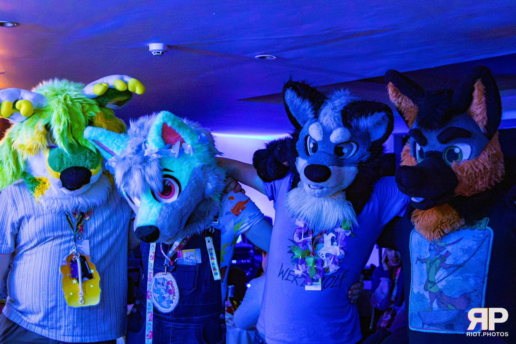 Pawsome 2026 - 05 Oct 2026, Fluffy Riot photography - photo 72