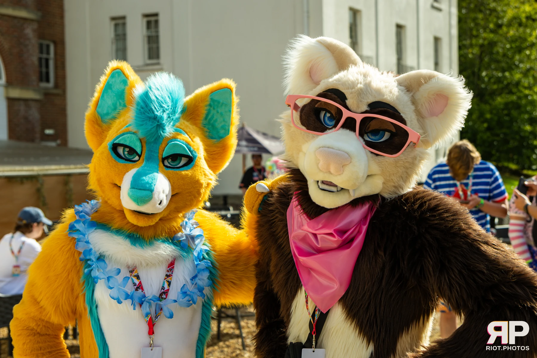 Pawsome 2026 - 05 Oct 2026, Fluffy Riot photography - photo 74