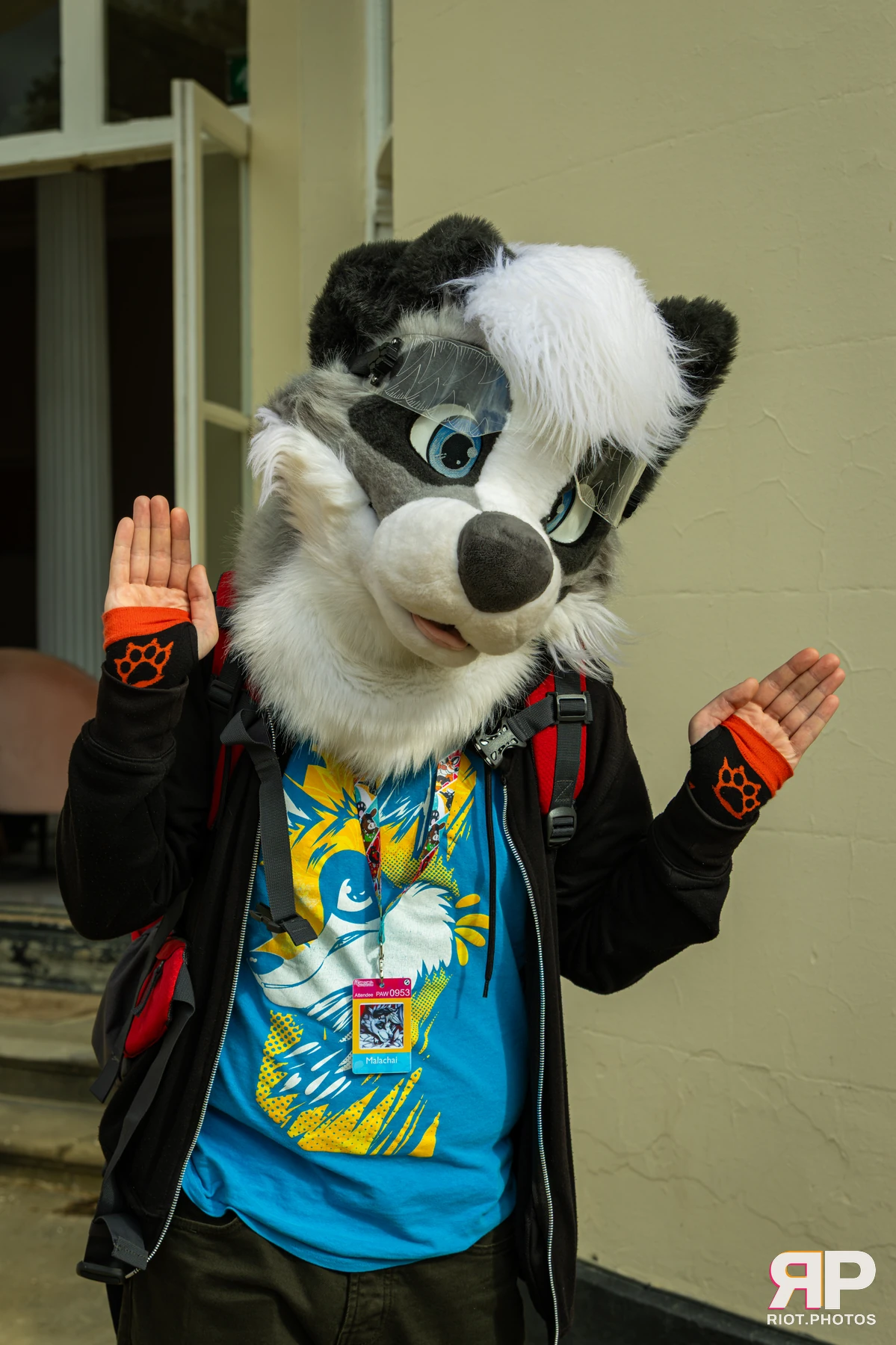 Pawsome 2026 - 05 Oct 2026, Fluffy Riot photography - photo 77