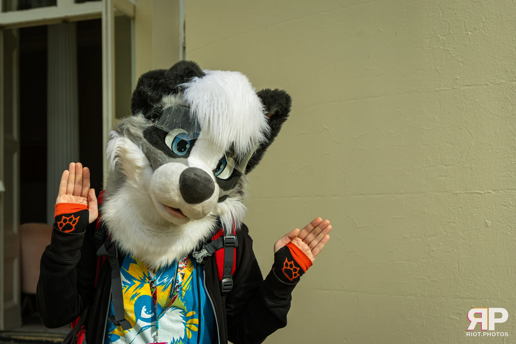 Pawsome 2026 - 05 Oct 2026, Fluffy Riot photography - photo 78