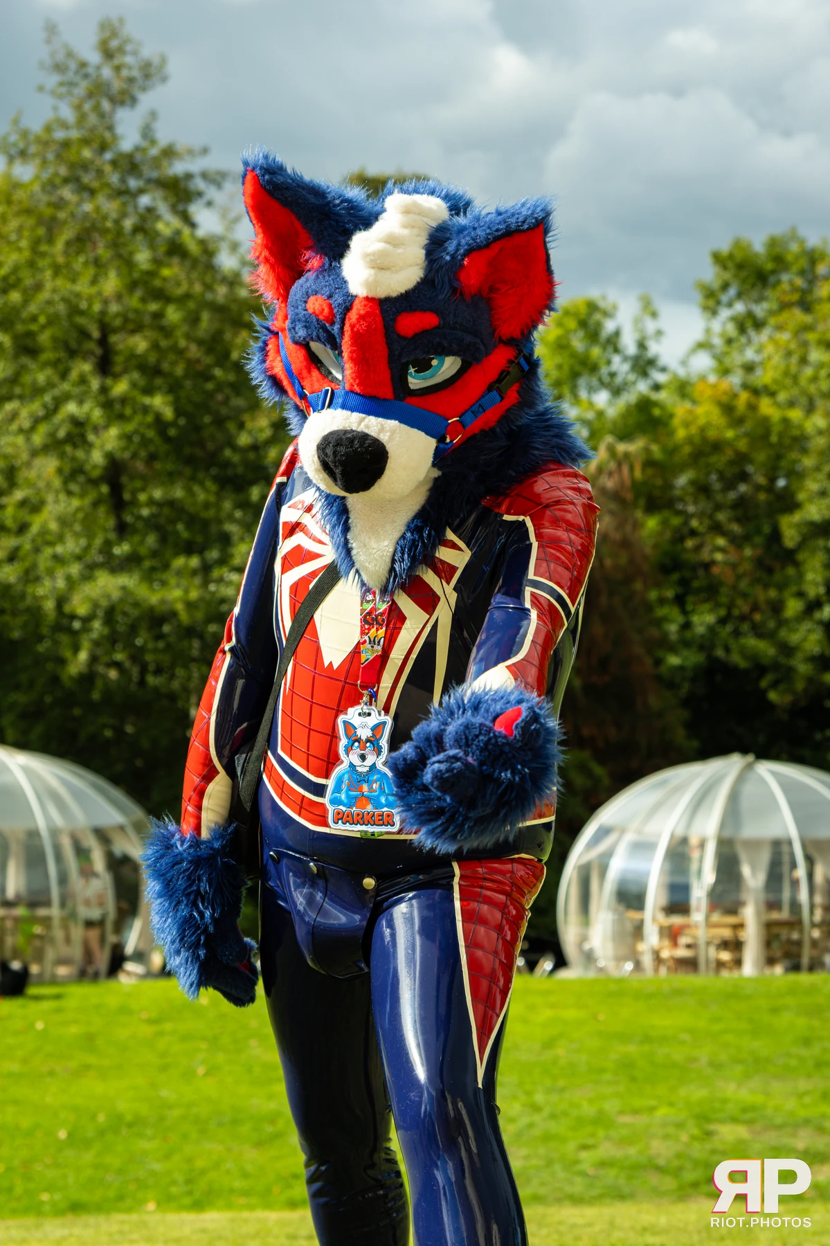 Pawsome 2026 - 05 Oct 2026, Fluffy Riot photography - photo 80