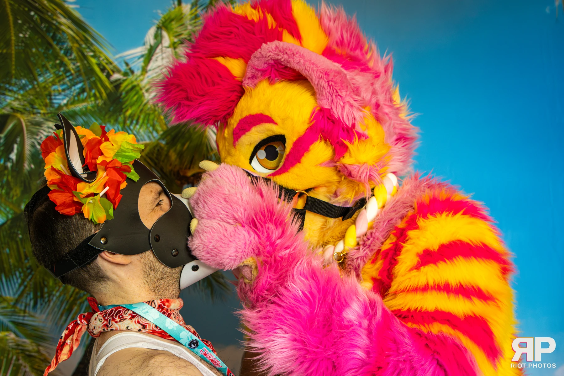 Starburst / Grumpy - furry & pup photography by Fluffy Riot - photo 7