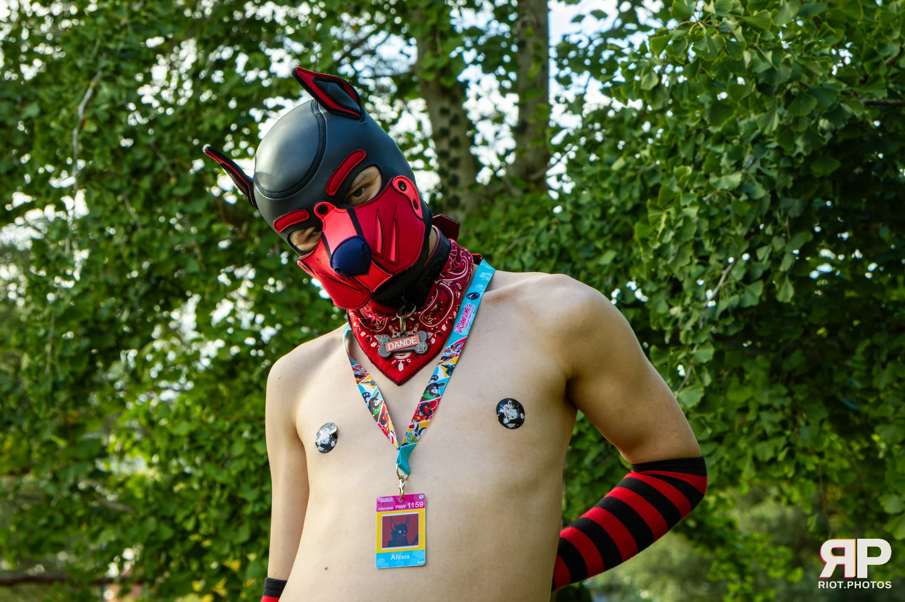 Pup Dande