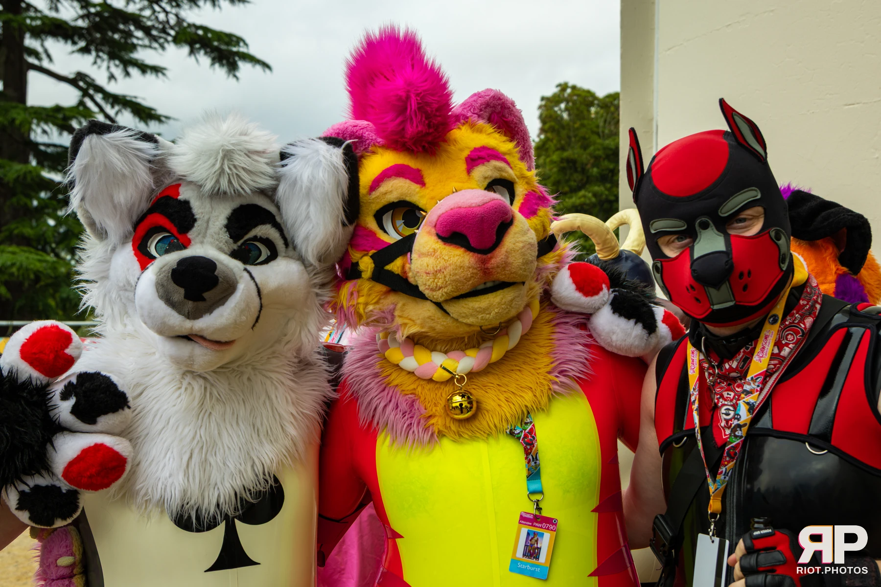 Starburst / Grumpy - furry & pup photography by Fluffy Riot - photo 5
