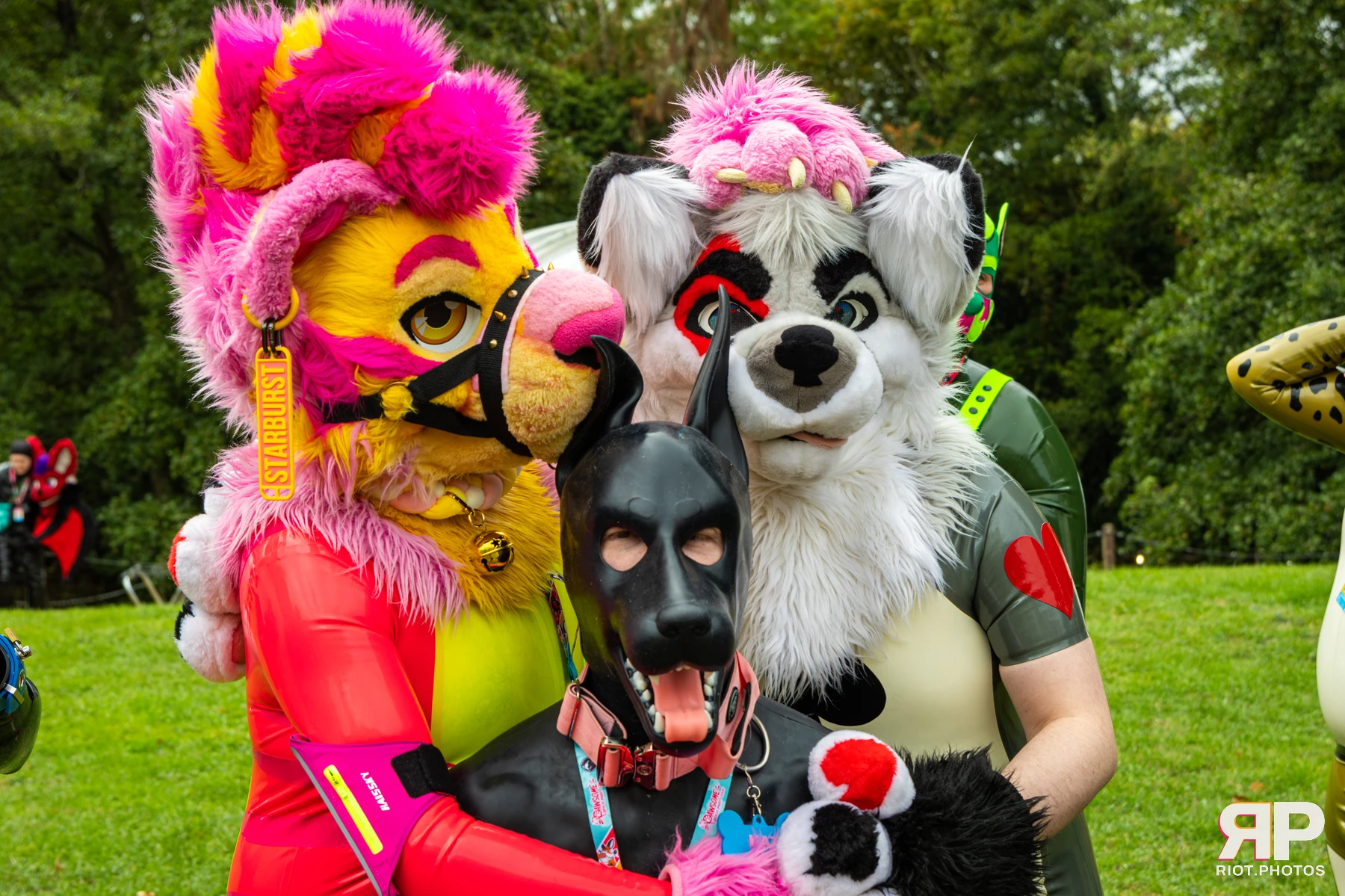Starburst / Grumpy - furry & pup photography by Fluffy Riot - photo 4