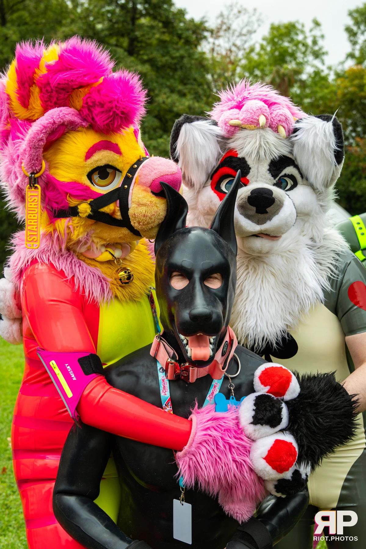 Starburst / Grumpy - furry & pup photography by Fluffy Riot - photo 3