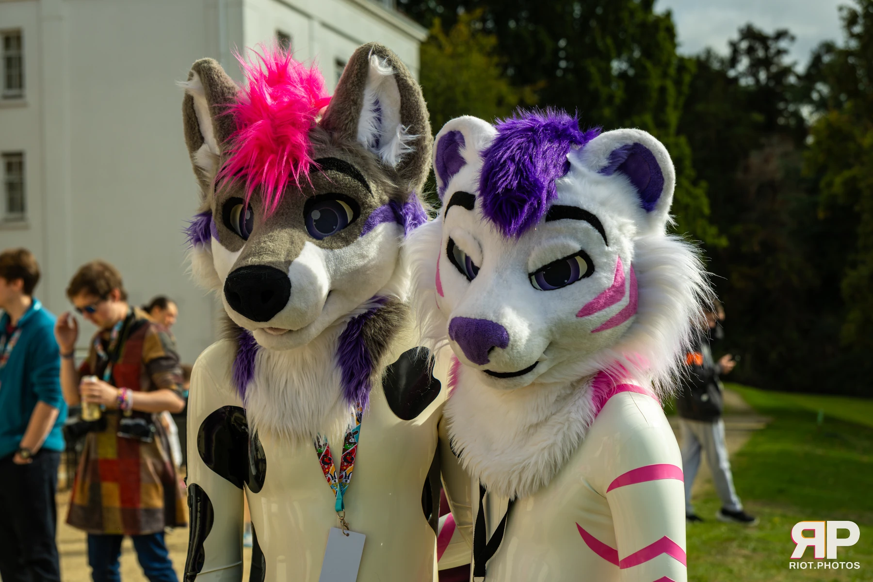 Yui Tiger - furry & pup photography by Fluffy Riot - photo 59