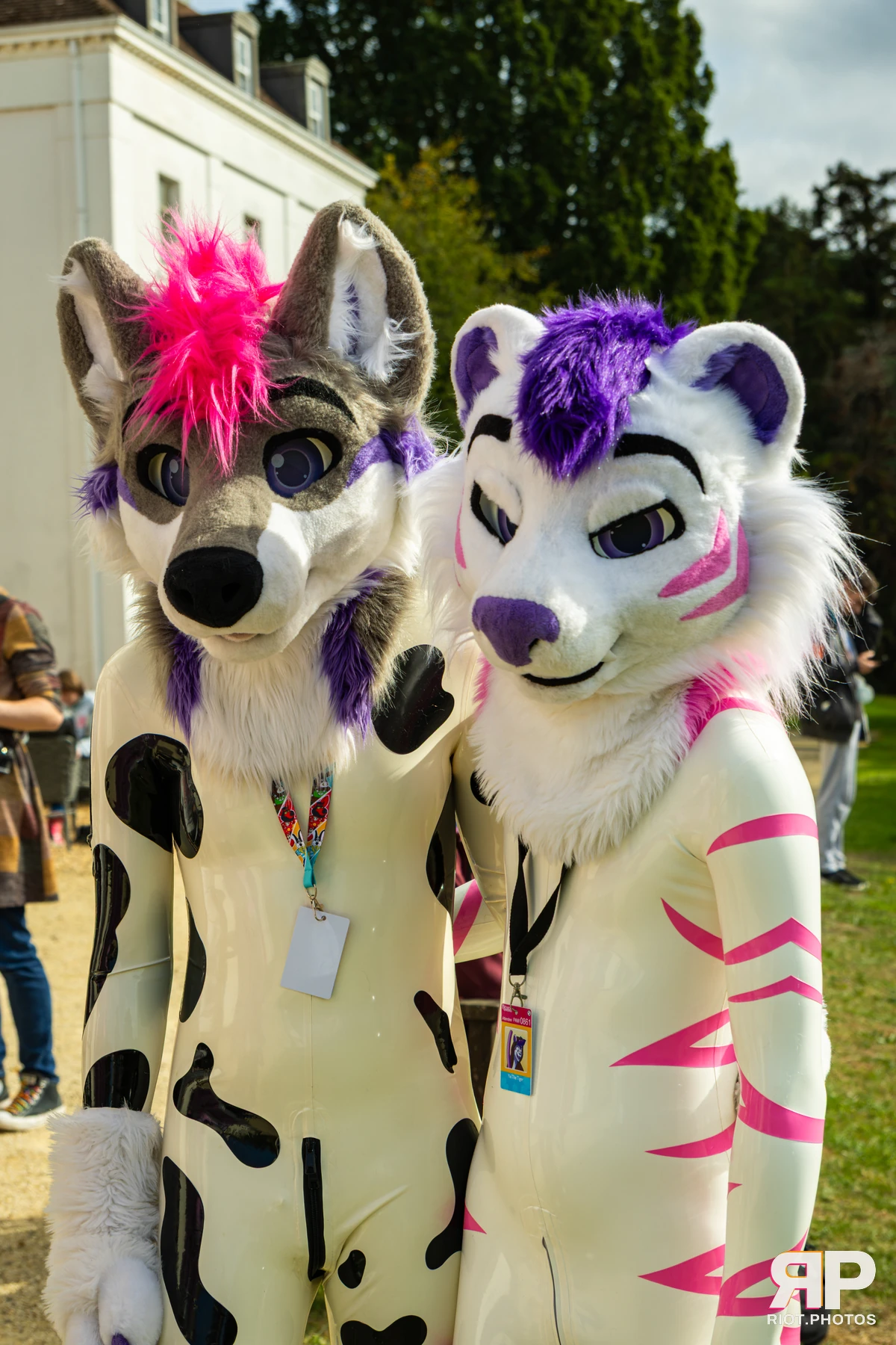 Yui Tiger - furry & pup photography by Fluffy Riot - photo 58